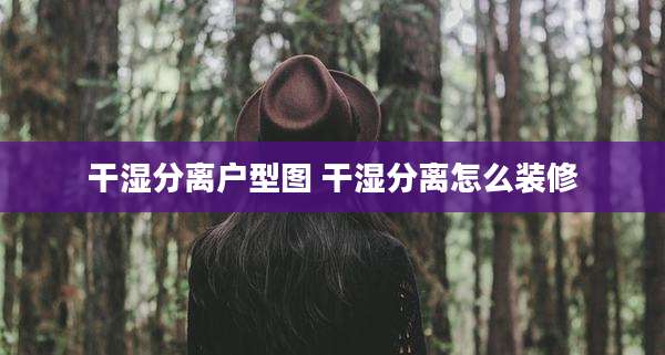 干湿分离户型图 干湿分离怎么装修