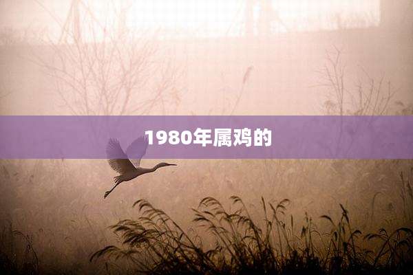 1980年属鸡的