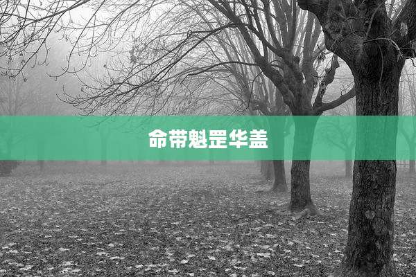 命带魁罡华盖