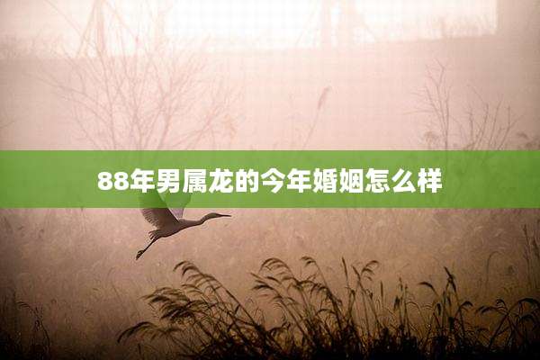 88年男属龙的今年婚姻怎么样