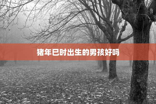 猪年巳时出生的男孩好吗