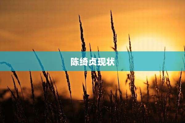 陈绮贞现状