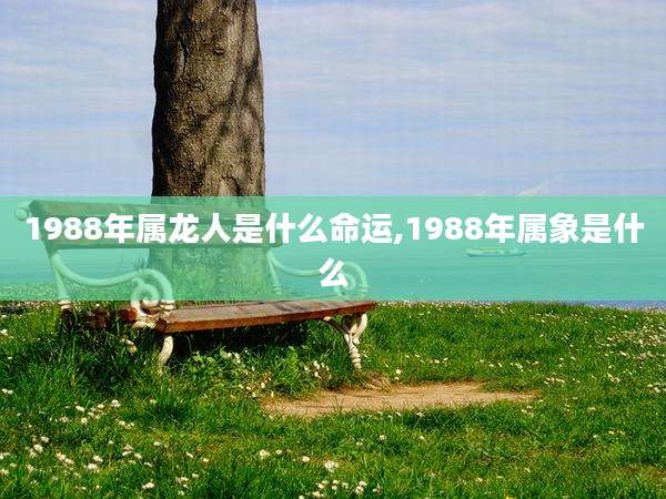 1988年属龙人是什么命运,1988年属象是什么