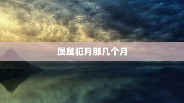 属鼠犯月那几个月