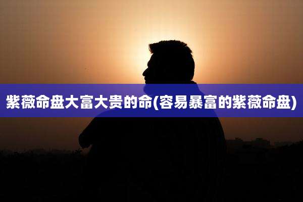 紫薇命盘大富大贵的命(容易暴富的紫薇命盘)