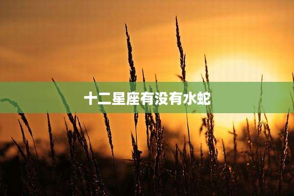 十二星座有没有水蛇