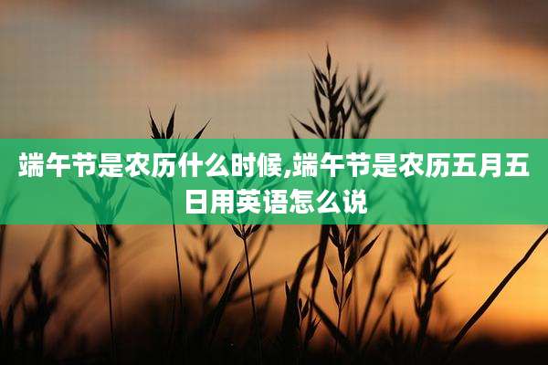 端午节是农历什么时候,端午节是农历五月五日用英语怎么说
