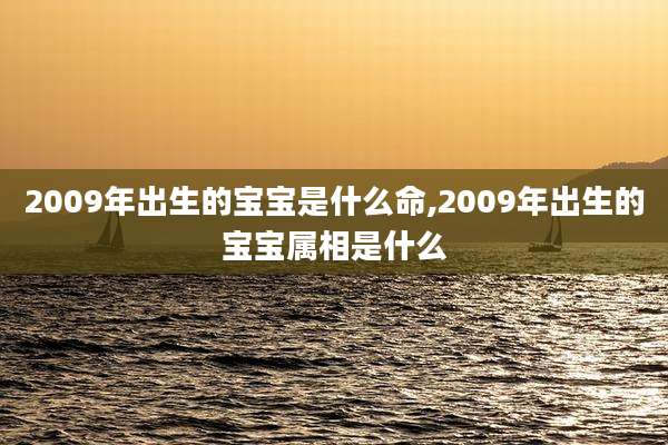 2009年出生的宝宝是什么命,2009年出生的宝宝属相是什么