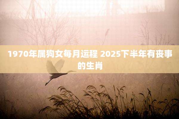 1970年属狗女每月运程 2025下半年有丧事的生肖