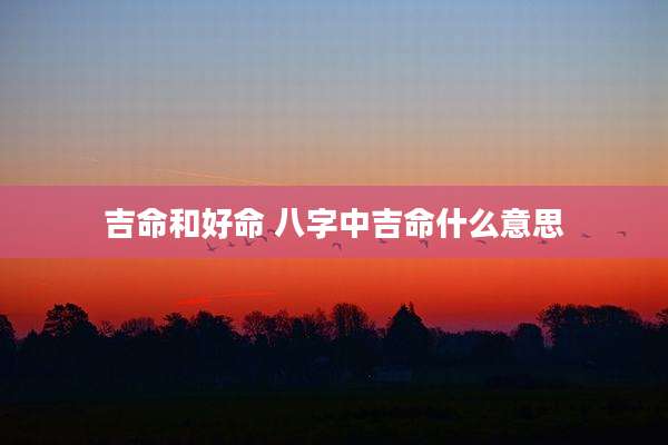 吉命和好命 八字中吉命什么意思