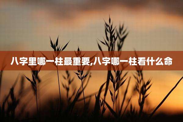 八字里哪一柱最重要,八字哪一柱看什么命