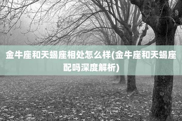 金牛座和天蝎座相处怎么样(金牛座和天蝎座配吗深度解析)