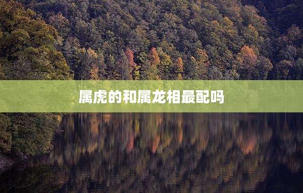 属虎的和属龙相最配吗