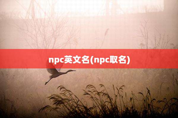 npc英文名(npc取名)