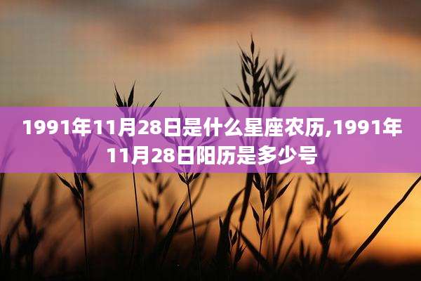 1991年11月28日是什么星座农历,1991年11月28日阳历是多少号