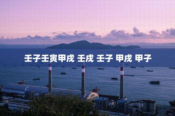 壬子壬寅甲戌 壬戌 壬子 甲戌 甲子