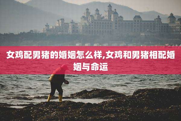 女鸡配男猪的婚姻怎么样,女鸡和男猪相配婚姻与命运