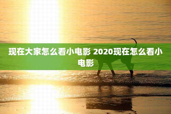 现在大家怎么看小电影 2020现在怎么看小电影