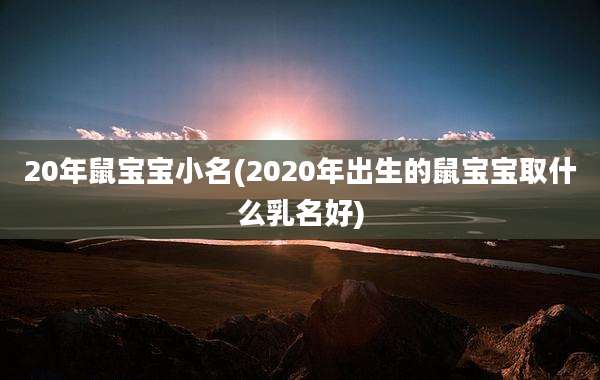 20年鼠宝宝小名(2020年出生的鼠宝宝取什么乳名好)