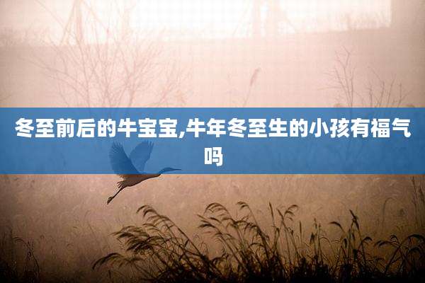 冬至前后的牛宝宝,牛年冬至生的小孩有福气吗