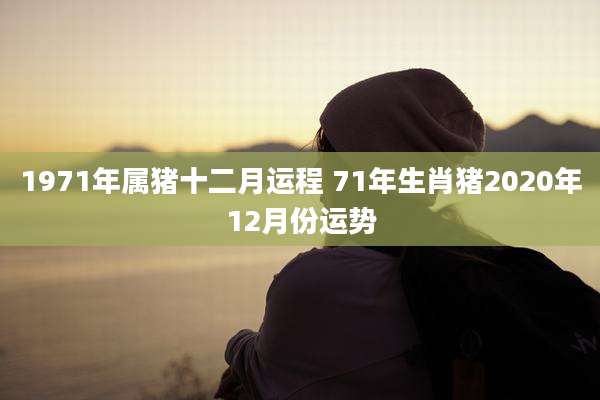 1971年属猪十二月运程 71年生肖猪2020年12月份运势