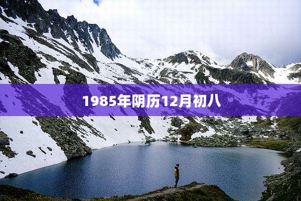 1985年阴历12月初八