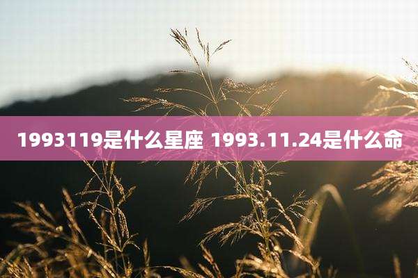 1993119是什么星座 1993.11.24是什么命