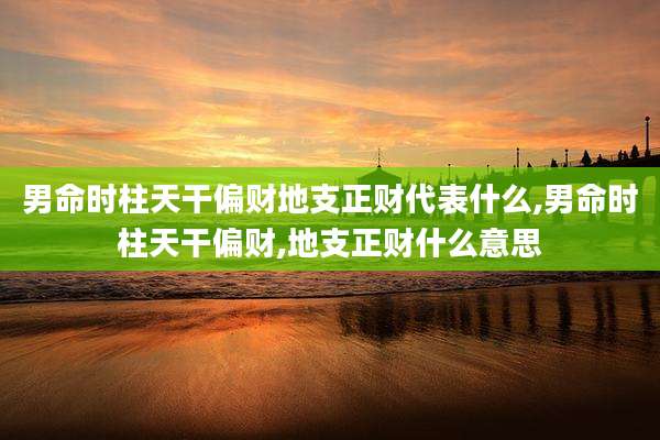 男命时柱天干偏财地支正财代表什么,男命时柱天干偏财,地支正财什么意思