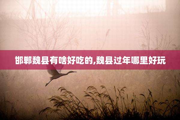 邯郸魏县有啥好吃的,魏县过年哪里好玩