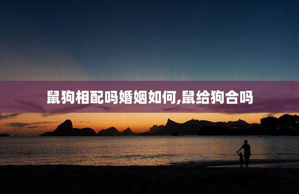 鼠狗相配吗婚姻如何,鼠给狗合吗