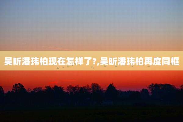 吴昕潘玮柏现在怎样了?,吴昕潘玮柏再度同框