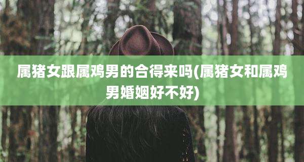 属猪女跟属鸡男的合得来吗(属猪女和属鸡男婚姻好不好)