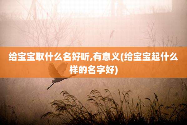 给宝宝取什么名好听,有意义(给宝宝起什么样的名字好)