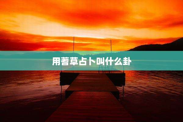 用蓍草占卜叫什么卦