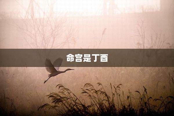 命宫是丁酉