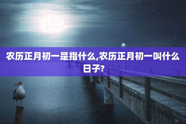 农历正月初一是指什么,农历正月初一叫什么日子?