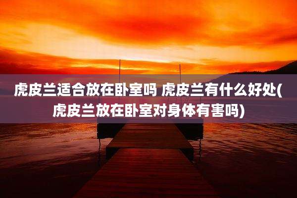 虎皮兰适合放在卧室吗 虎皮兰有什么好处(虎皮兰放在卧室对身体有害吗)