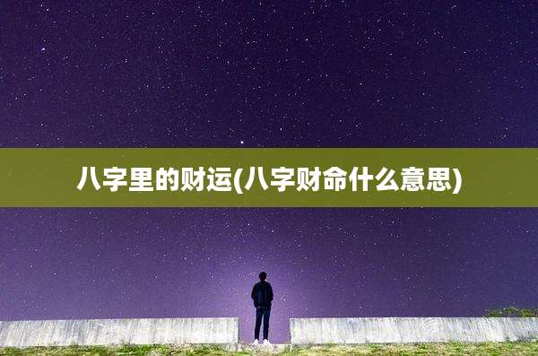 八字里的财运(八字财命什么意思)