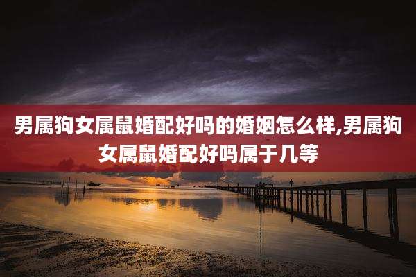 男属狗女属鼠婚配好吗的婚姻怎么样,男属狗女属鼠婚配好吗属于几等
