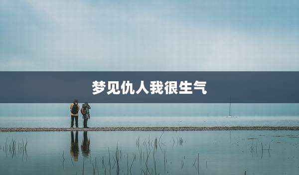 梦见仇人我很生气