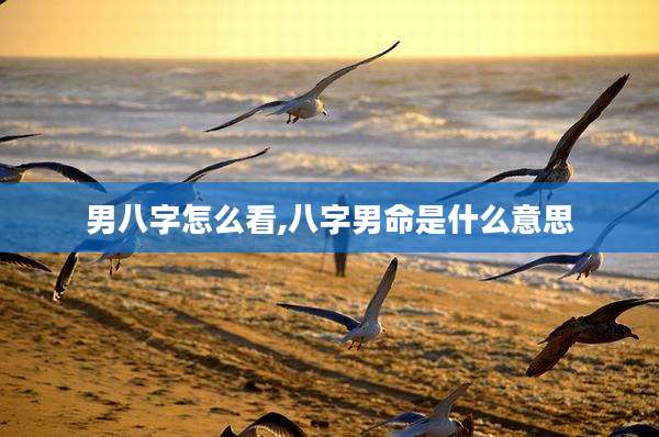 男八字怎么看,八字男命是什么意思