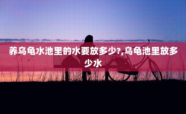 养乌龟水池里的水要放多少?,乌龟池里放多少水