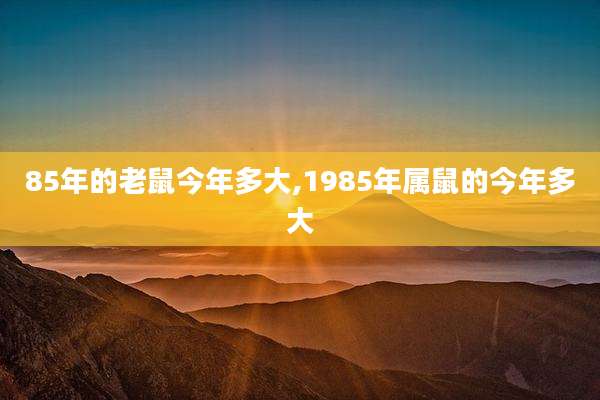 85年的老鼠今年多大,1985年属鼠的今年多大
