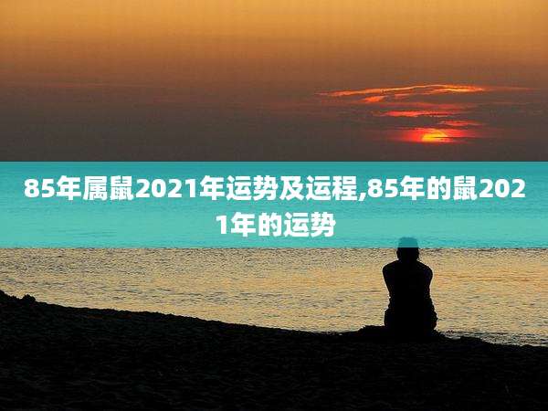 85年属鼠2021年运势及运程,85年的鼠2021年的运势