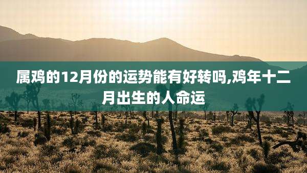 属鸡的12月份的运势能有好转吗,鸡年十二月出生的人命运