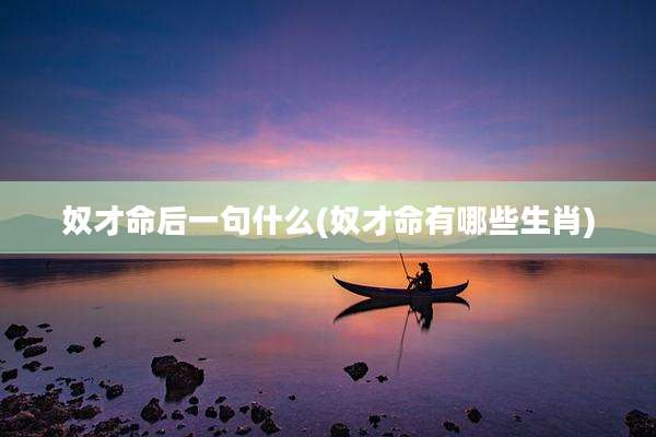 奴才命后一句什么(奴才命有哪些生肖)