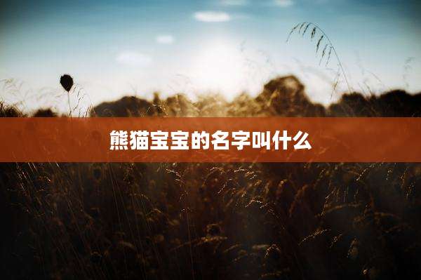 熊猫宝宝的名字叫什么