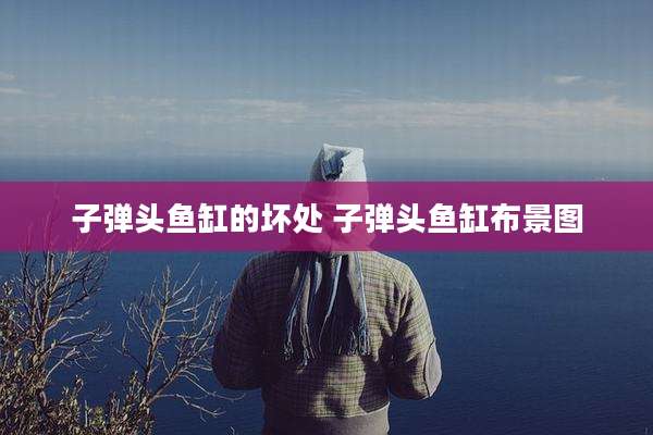 子弹头鱼缸的坏处 子弹头鱼缸布景图