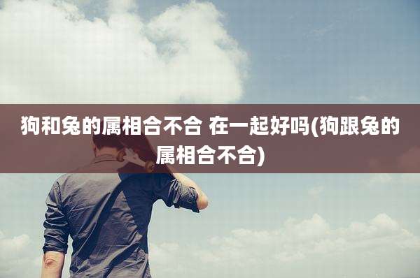 狗和兔的属相合不合 在一起好吗(狗跟兔的属相合不合)