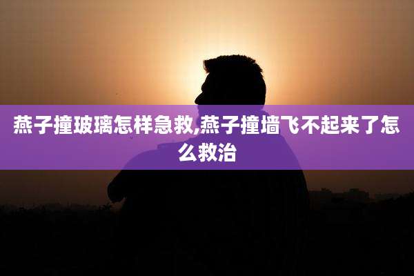燕子撞玻璃怎样急救,燕子撞墙飞不起来了怎么救治